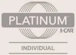 Platinum Individual logo